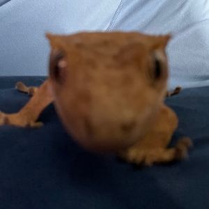 Meet your Posher, Riley